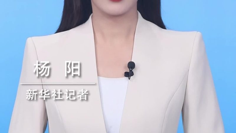 Sentinel与Hystrix：微服务架构下的双剑合璧